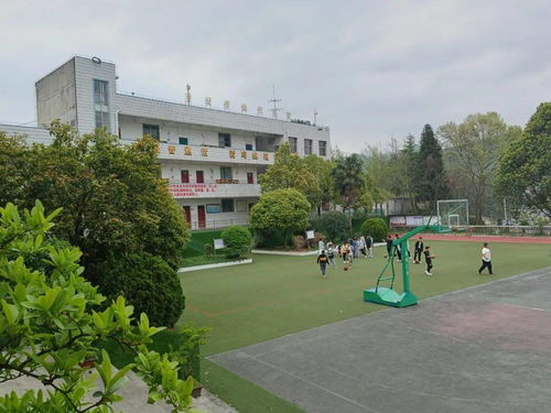 从教十一载,他把这些 奢侈品 变成了贵阳这所乡镇中学的 常用品