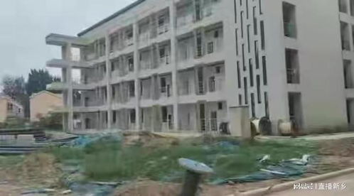 常青藤小区孩子上学难新乡市诚城集团开发商承诺的学区房哪去了