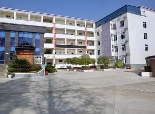 超全面天府新区中学大盘点 漳浦达志中学