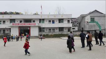 筑牢校园安全防线，守护师生健康——漳浦达志中学及周边食品安全专项检查纪实